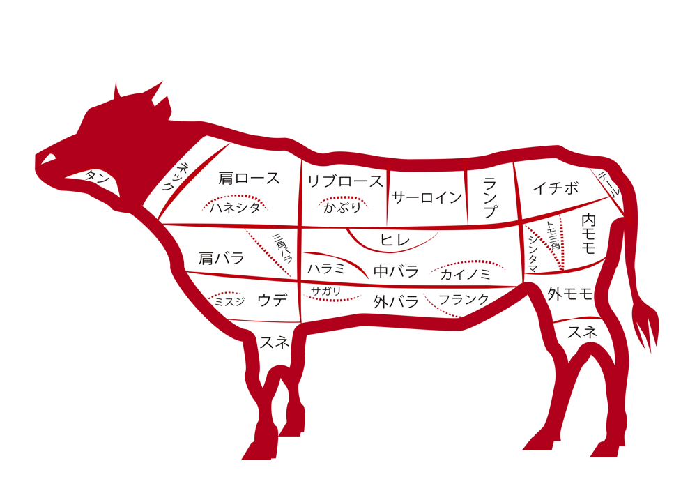 ハラミの場所（牛のお腹あたり）を示しているイラスト