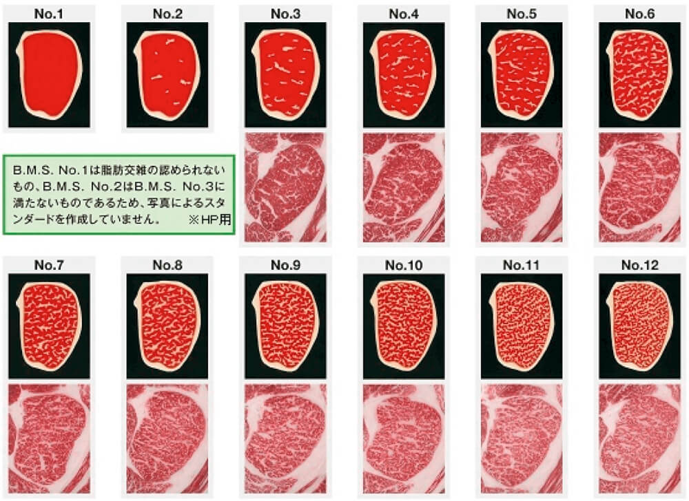 牛肉の格付けにおける脂肪交雑の基準画像