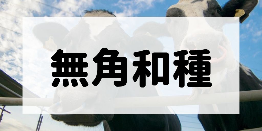 無角和種の特徴や代表的なブランド牛について解説する記事のアイキャッチ